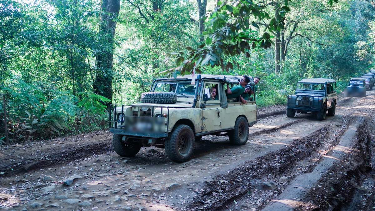 Offroad Land Rover di jalur hutan Cikole Lembang 4