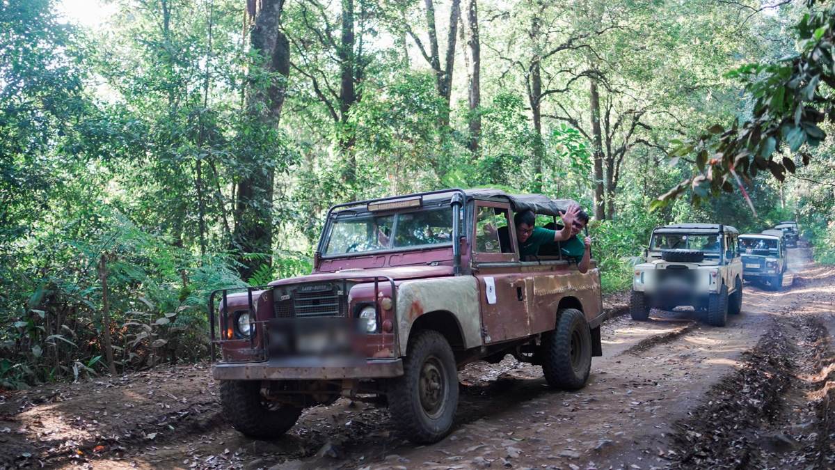 Offroad Land Rover di jalur hutan Cikole Lembang 1