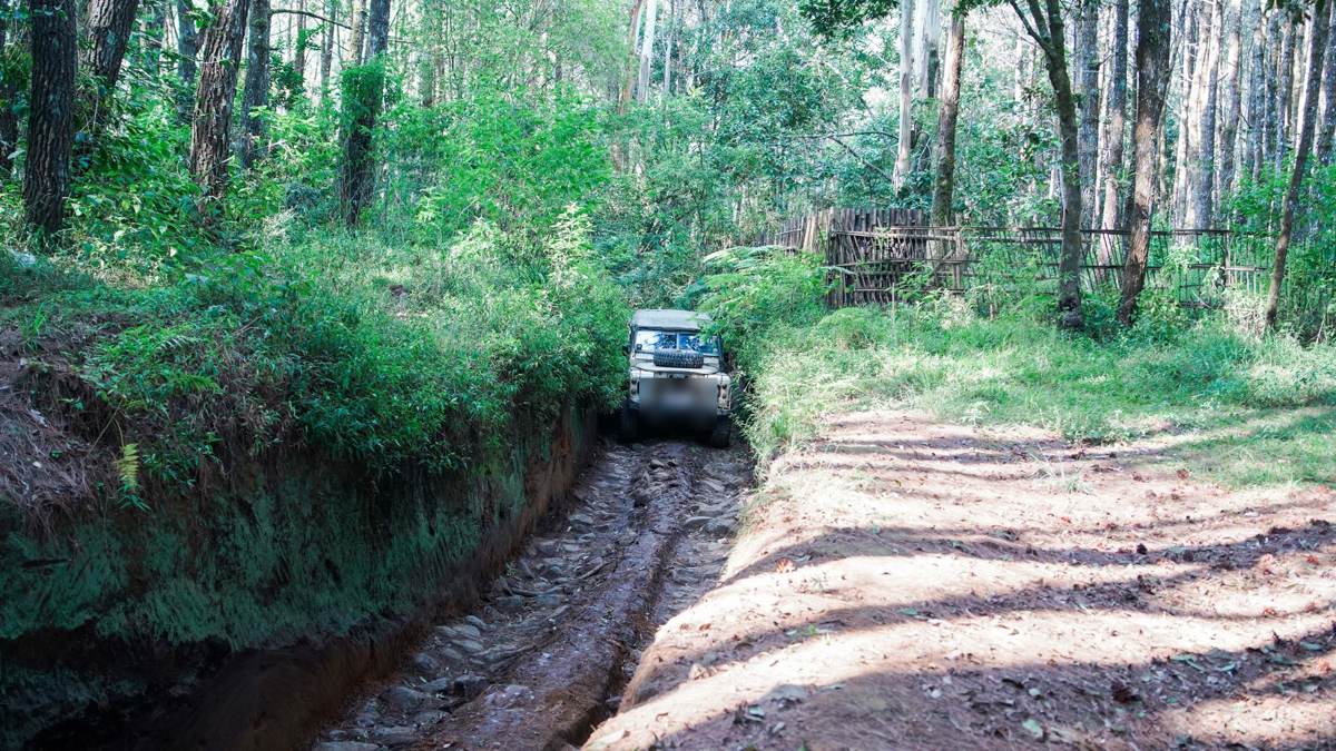 Offroad Land Rover di jalur hutan Cikole Lembang 3